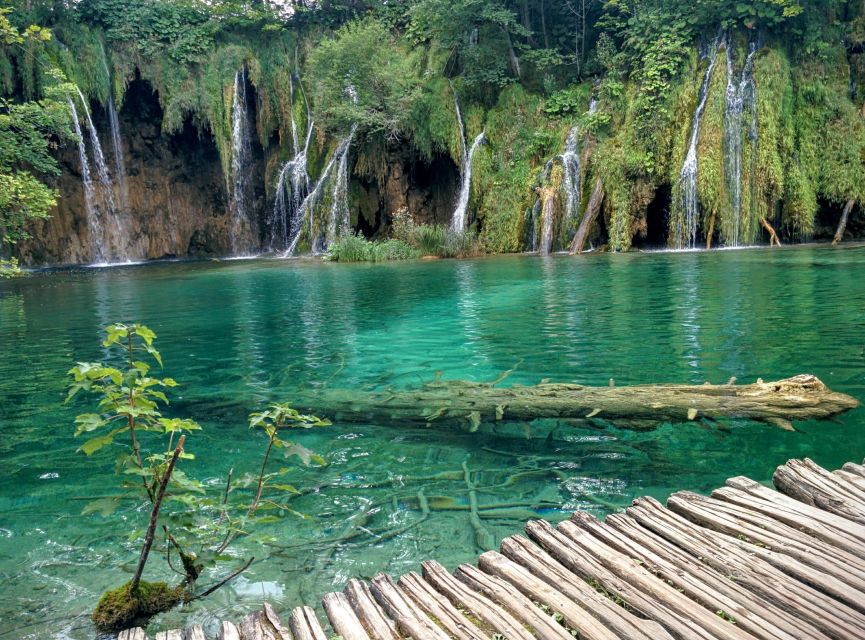 From Zadar: Round-Trip Transfer to Plitvice Lakes - Who This Transfer Works Best For (And Who Should Rethink It)