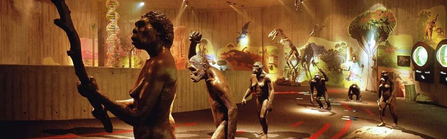 From Zagreb:Discover North Croatia, Museums, Castle and City - Krapina Neanderthal Museum, The Start That Changes Your Lens