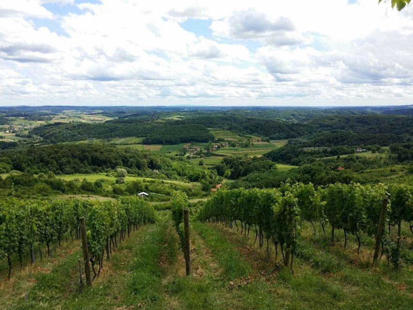 From Zagreb: Fairytale Castle & Wine Tasting & Lunch - The winery stop at Vuglec Breg: four wines with a panoramic setting