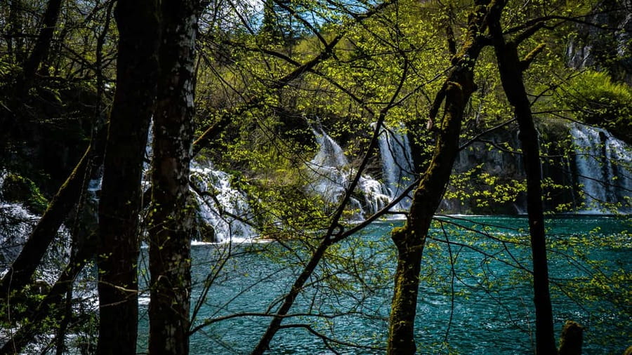 From Zagreb: Plitvice Lakes National Park Full-Day Tour - The practical stuff that can make or break your comfort