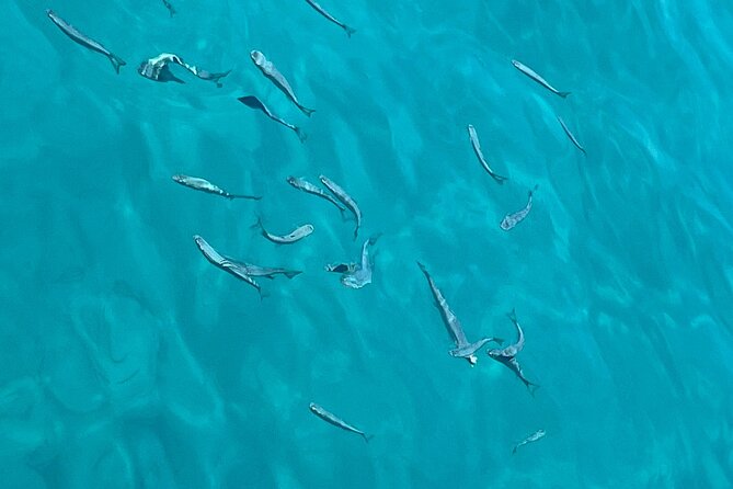 Full Day Boat Tour, Blue Lagoon and Šolta with lunch&drinks - Boat comfort, snorkel gear, and what to bring
