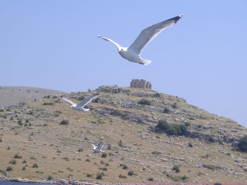Full-day boat trip from Zadar and Sukošan to Kornati NP - On-Board Meals: Breakfast, Lunch, and Drinks That Make the Day Easier
