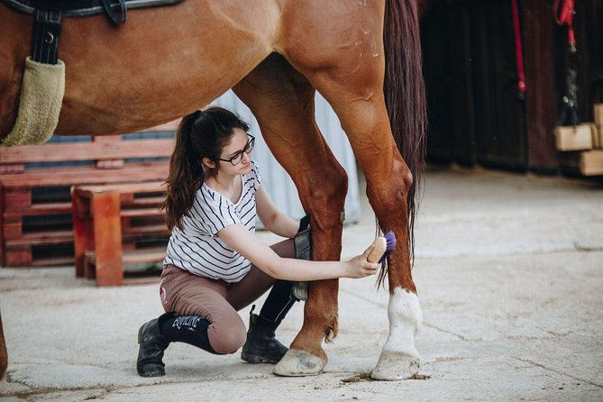 Full day Horse riding & Quad biking - Price and Value Check: Is $424.17 Worth It?