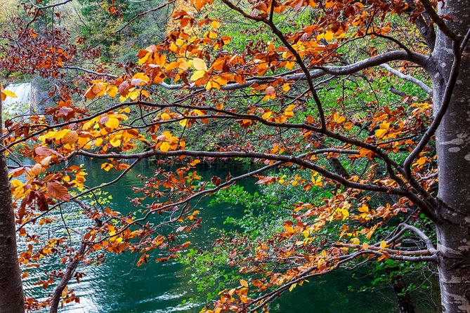Full-Day Private Plitvice Lakes National Park Tour from Split - Plitvice Lakes National Park: 4 hours to walk, pause, and choose your pace