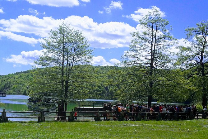 Full-Day Private Tour of Plitvice Lakes National Park from Zadar - Inside Plitvicka Jezera: What You Actually Get Time To Do