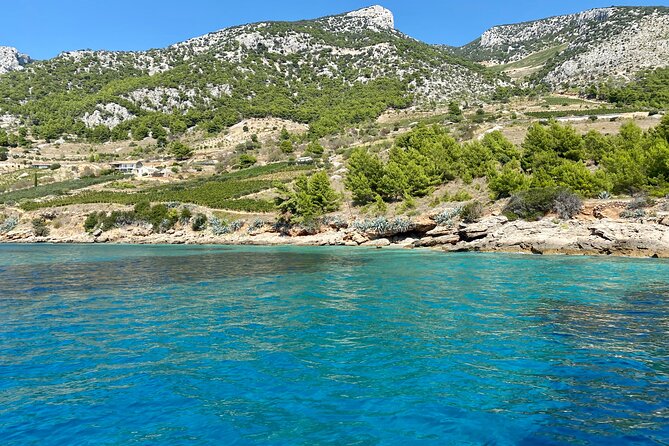 Full-Day PRIVATE Tour to ZLATNI RAT & HVAR - Zlatni Rat Beach on Brač: the Golden Horn effect and how to use your time