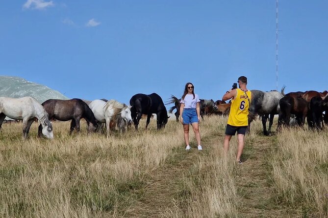 Full-Day Quad and Wild Horses Safari in Livno from Split - Who This ATV and Wild Horses Safari Fits Best