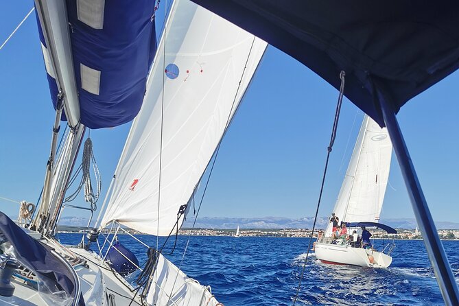 Full Day Sailing Tour To Elafiti Islands from Dubrovnik - Price and value for a full Elafiti island day