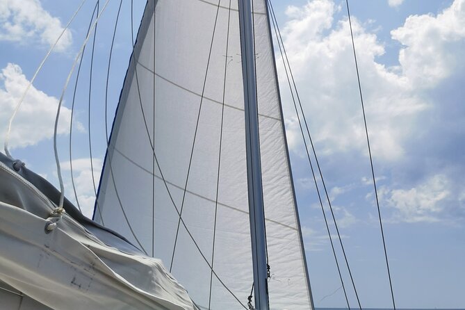 Full Day Sailing Tour To Elafiti Islands from Dubrovnik - Snorkeling gear, aquatic life, and how to time it well