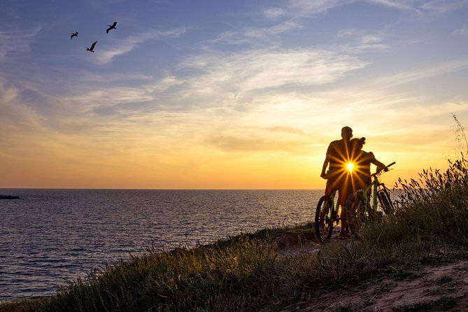 FUN E-BIKE RIDE at CAPE KAMENENJAK - Safari Bar rest stop: break, drink, and reset