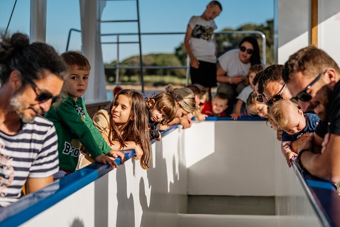 Glass boat tour Fažana with swimming stop - Kozada and the National Park View: Why the Route Matters