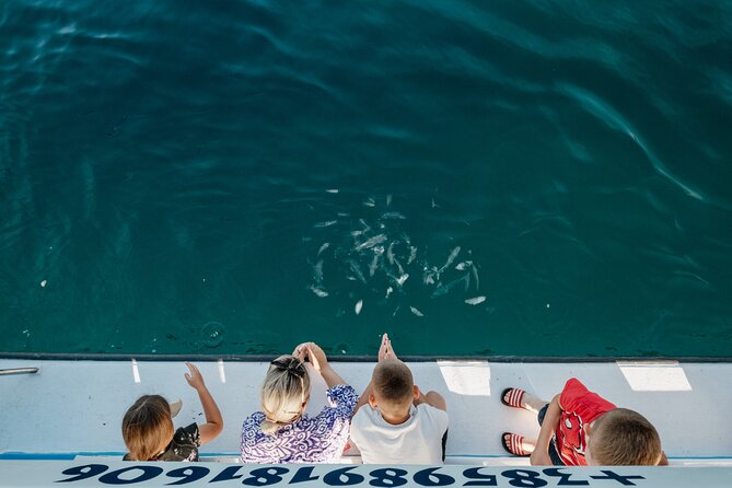 Glass boat tour Fažana with swimming stop - Sunset on the Terrace: Fažana’s Golden Hour With Drinks Included