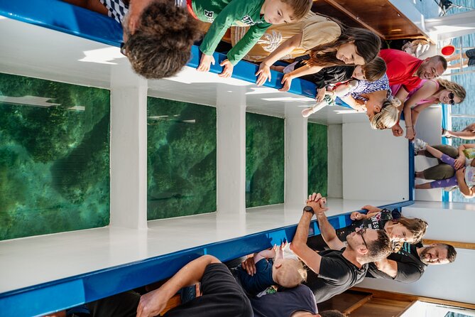 Glass boat tour Fažana with swimming stop - What the Swimming Stop Is Really Like