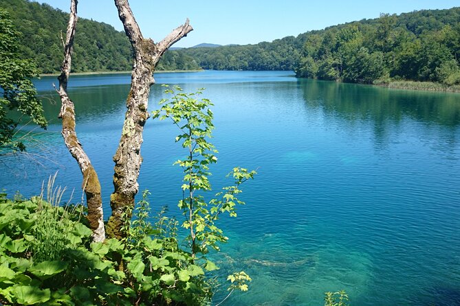 Guided Day Tour from Zadar to Plitvice Lakes - Free Time Strategy: How to Make 5 Hours Feel Like More