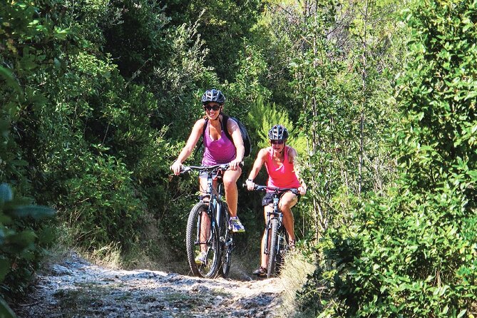 Half-Day Bike Tour in Lumbarda with Wine Tasting - Where you meet in Korčula Old Town (and why it helps)