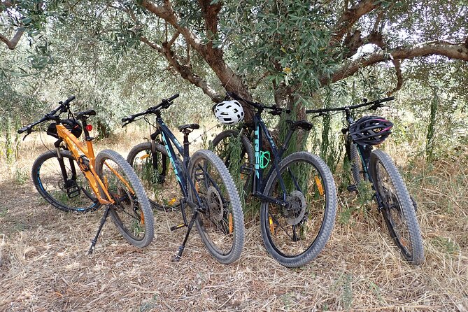 Half-Day Bike Tour in Lumbarda with Wine Tasting - Stop 2: Lumbarda village, Grk vines, and the wine tasting break