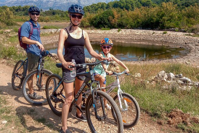 Half-Day Bike Tour in Lumbarda with Wine Tasting - Price, time, and group size: what $111.20 buys you
