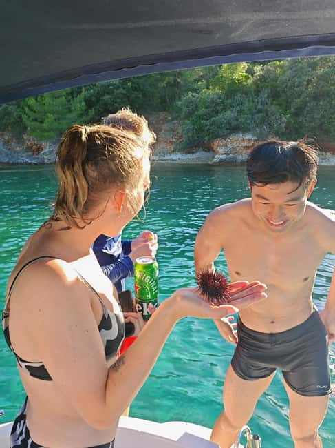 half day group speedboat tour of the islands around Zadar - Who this tour suits (and who should skip it)
