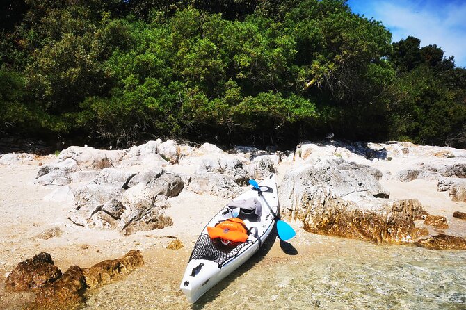 Half-Day Kayak Tour in Vrsar Archipelago - From Vrsar Marina Out To The Islands (And What The Morning Feels Like)