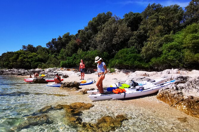 Half-Day Kayak Tour in Vrsar Archipelago - Paddling Back To Finish, Plus The Beach Bar Option
