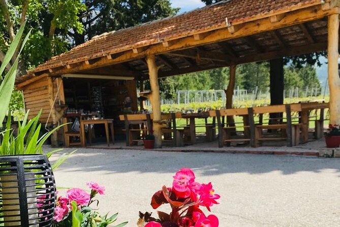 Half-Day Wine and Food Tasting from Dubrovnik - The family winery founded in 1540: what you are actually tasting