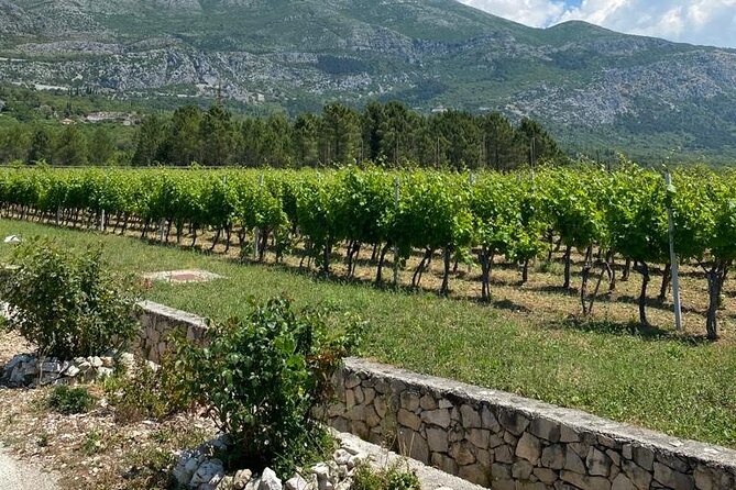 Half-Day Wine and Food Tasting from Dubrovnik - Homemade liquor before and after: rakia and grappa style pours