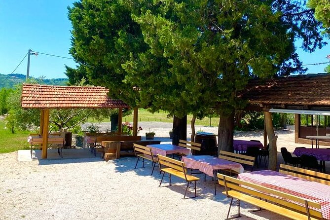Half-Day Wine and Food Tasting from Dubrovnik - Cavtat at the end: a calm way to land the day