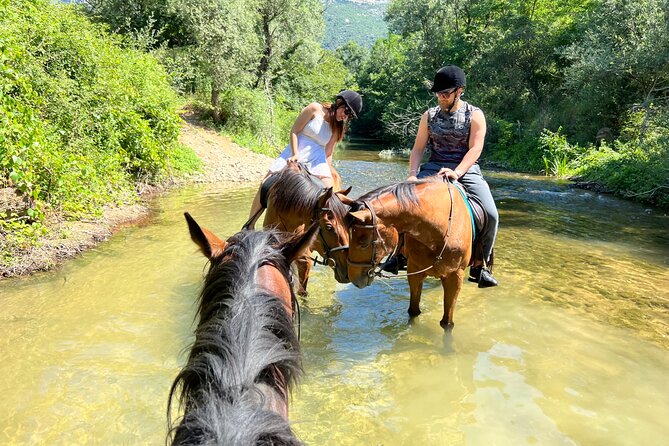 Horseback Riding Across River Ljuta with transport - Konavle Meadows Before the River: What You’ll See and Feel