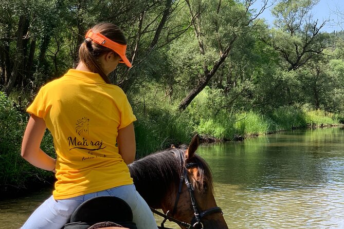Horseback Riding Across River Ljuta with transport - The Best Part: Crossing River Ljuta and Taking a Refreshing Swim