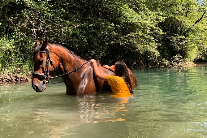 Horseback Riding Across River Ljuta with transport - After the Ride: Snacks, Drinks, and Ranch Hospitality