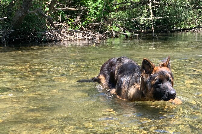 Horseback Riding Across River Ljuta with transport - Who This Ride Suits Best (And Who Should Rethink It)