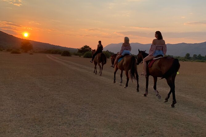 Horseback Riding Across River Ljuta with transport - The Horses at Mali Raj Konavle: Why “Well-Trained” Matters