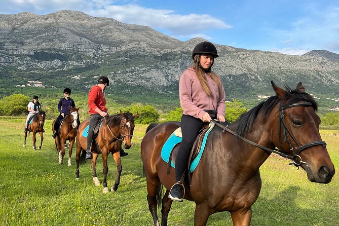 Horseback Riding Experience with transport from Dubrovnik - Key things to know before you go