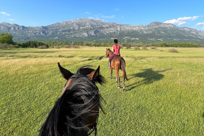 Horseback Riding Experience with transport from Dubrovnik - Konavle by horse: why this feels more local than Dubrovnik sightseeing