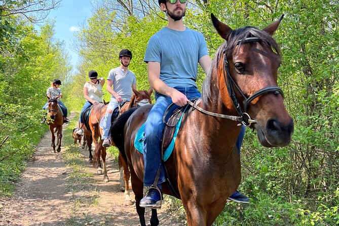 Horseback Riding Experience with transport from Dubrovnik - At the Mali Raj ranch: horses plus the whole animal world