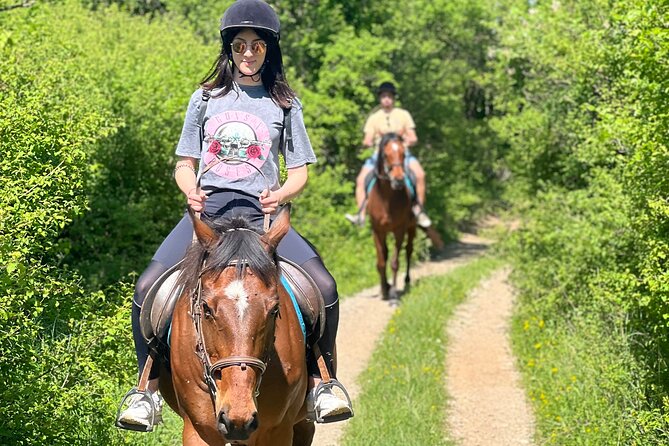 Horseback Riding Experience with transport from Dubrovnik - Small group size and the value of attention