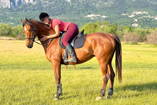 Horseback Riding Experience with transport from Dubrovnik - The 60-minute trail ride: fields, forests, and the Snježnica views