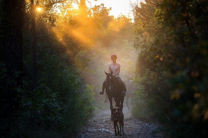 Horseback Riding in Konavle Region with Transport from Dubrovnik - Key highlights I’d circle for you