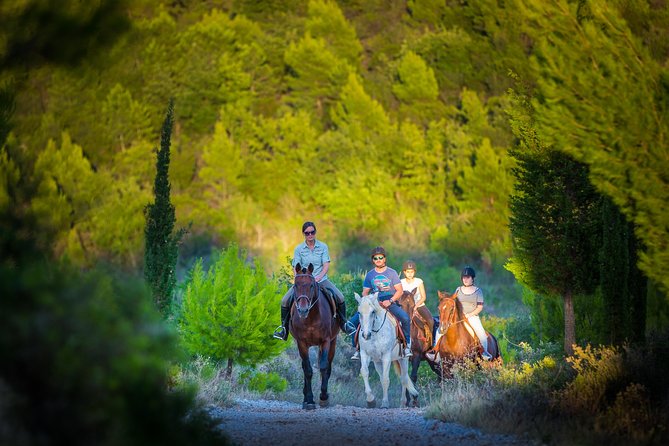 Horseback Riding in Konavle Region with Transport from Dubrovnik - Konavle on Horseback: Why This Ride Feels Like a Real Break