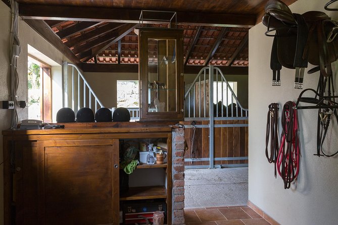 Horseback Riding in Konavle Region with Transport from Dubrovnik - Price and Value: Is $168.95 Fair for a 4-Hour Ride?