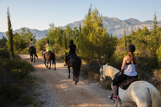 Horseback Riding in Konavle Region with Transport from Dubrovnik - Before You Mount: Safety Gear, Helmet Fit, and First-Time Support