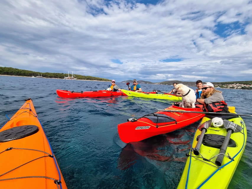 Hvar: Half day kayak tour to Pakleni islands - Zdrilca bay for coffee or a drink, the human pause in a sea day