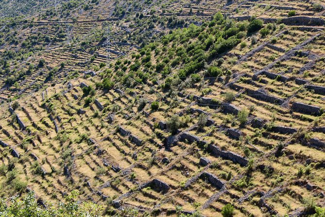 Hvar Hidden Gems Small Group Half Day Tour with Lunch or Dinner - Key Highlights to Know Before You Go