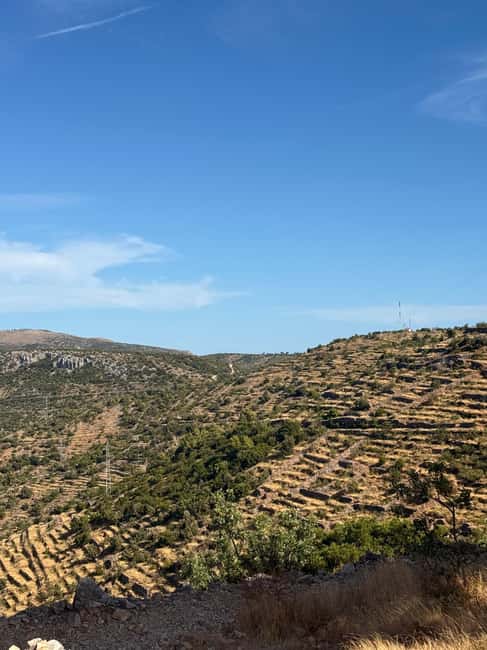 Hvar: Hvar Wine Tasting Experience - From Hvar Town to the island’s wine side: the drive you’ll remember