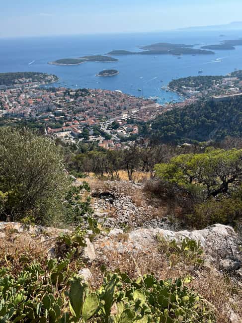 Hvar: Hvar Wine Tasting Experience - Inside the winery cellar: Carić, Tomić, or Duboković tastings