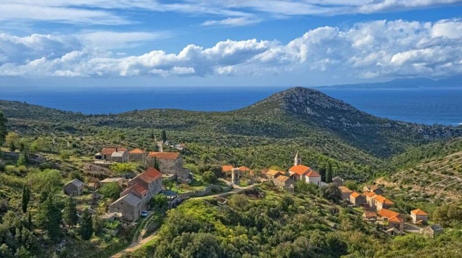 Hvar: Island tour with Wine and Olive Oil Tasting - Why this Hvar tour feels different from the usual port day