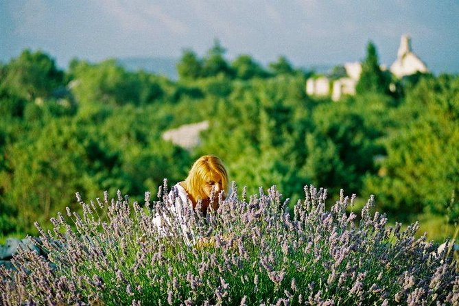 Hvar Lavender Small Group Tour - Velo Grablje: lavender cheesecake and village views