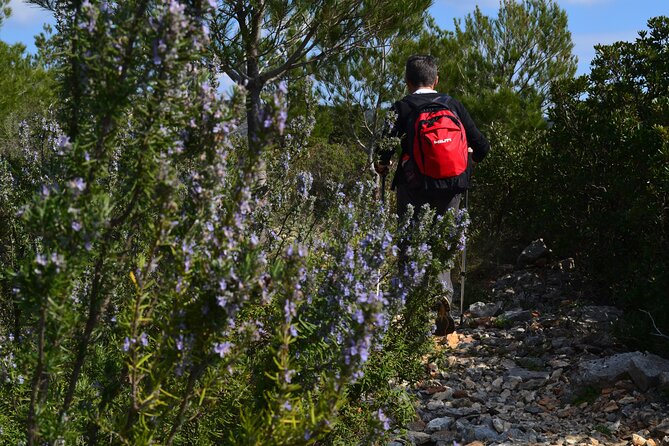 Hvar Lavender Tour - Key highlights worth planning around