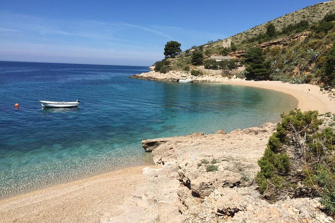 Hvar Pakleni islands and Secrets of Brac and Solta private tour - Why this Hvar, Brac, and Solta boat day feels different