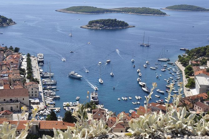 Hvar Private Walking Tour With A Professional Guide - Starting at St. Stephen’s Cathedral: Your Fast Orientation Point